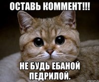 Оставь коммент!!! Не будь ебаной педрилой.