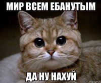 мир всем ебанутым да ну нахуй