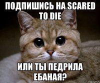 подпишись на scared to die или ты педрила ебаная?