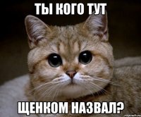 ты кого тут щенком назвал?