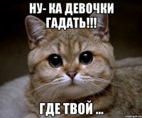 Ну- ка девочки гадать!!! Где твой ...