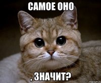 самое оно , значит?