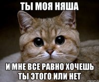 ты моя няша и мне все равно хочешь ты этого или нет