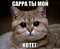 Сарра ты мой Коте)*