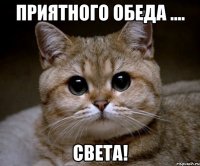 Приятного обеда .... Света!