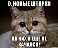 О, новые шторки На них я еще не качался!