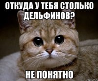 Откуда у тебя столько дельфинов? Не понятно