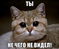 ты не чего не видел!