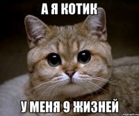 а я котик у меня 9 жизней