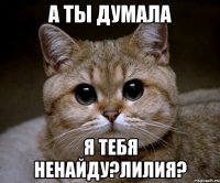 А ТЫ ДУМАЛА Я ТЕБЯ НЕНАЙДУ?Лилия?