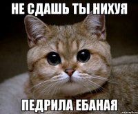 Не сдашь ты нихуя Педрила ебаная