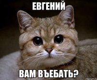 Евгений Вам въебать?