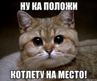 ну ка положи котлету на место!