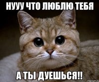 нууу что люблю тебя а ты дуешься!!