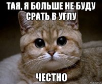 ТАЯ, Я БОЛЬШЕ НЕ БУДУ СРАТЬ В УГЛУ ЧЕСТНО