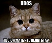 DDOS твоюжматьчтоделатьта?