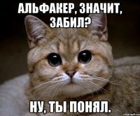 Альфакер, значит, забил? Ну, ты понял.