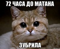 72 часа до матана Зубрила