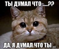 Ты думал что .....?? Да, я думал что ты ...