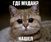 где мудак? нашел