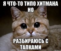 Я что-то типо Хитмана но Разбираюсь с тапками