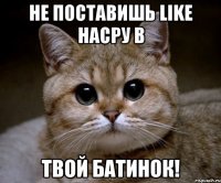 Не поставишь Like насру в Твой батинок!