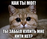 КАК ТЫ МОГ! ТЫ ЗАБЫЛ КУПИТЬ МНЕ КИТИ КЕТ?