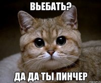 Вьебать? Да да ты Пинчер