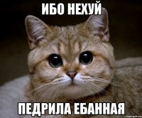 Ибо нехуй Педрила ебанная