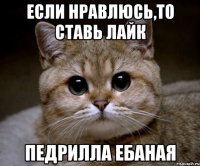 Если нравлюсь,то ставь лайк Педрилла ебаная