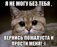 Я не могу без тебя , вернись пожалуста и прости меня! :(