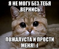 Я не могу без тебя ,вернись пожалуста и прости меня! :(