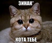 Зинак* кота тебе