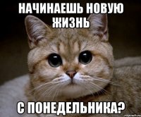 начинаешь новую жизнь с понедельника?