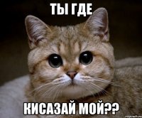 ты где кисазай мой??