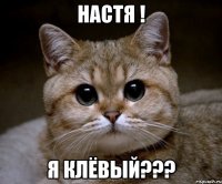 настя ! я клёвый???