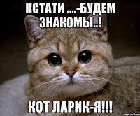 кстати ....-будем знакомы..! кот ларик-Я!!!