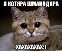 Я котяра шмакодяра Хахахахах:)