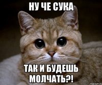 ну че СУКА так и будешь молчать?!