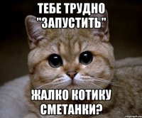 ТЕБЕ ТРУДНО "ЗАПУСТИТЬ" ЖАЛКО КОТИКУ СМЕТАНКИ?