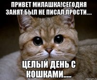 привет Милашка!Сегодня занят был не писал,прости.... целый день с кошками.....