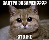 Завтра экзамен???? Это же