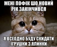 мЕНІ пофік шо новий рік закінчився я всеодно буду скидати ігрушки з ялинки