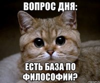 Вопрос дня: есть база по философии?