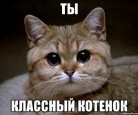 Ты Классный котенок