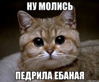 ну молись педрила ебаная