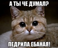 А ты че думал? Педрила ебаная!