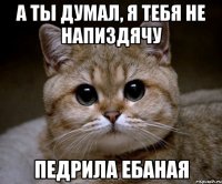 А ты думал, я тебя не напиздячу педрила ебаная