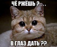 Чё ржёшь ? . . . В глаз дать ??