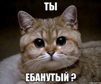 ты ебанутый ?